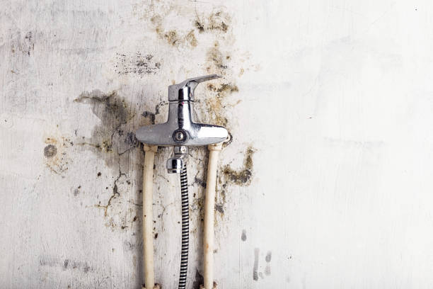 Best Mold Testing  in Selah, WA