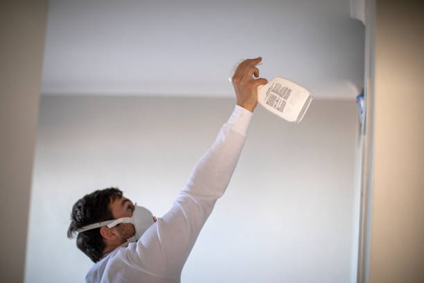 Certified Mold Removal in Selah, WA