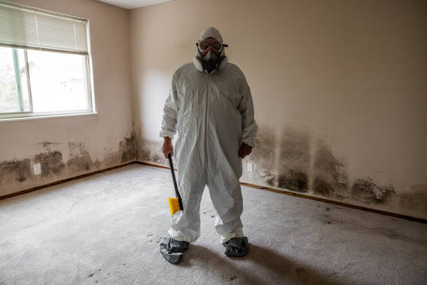 Best Black Mold Removal  in Selah, WA